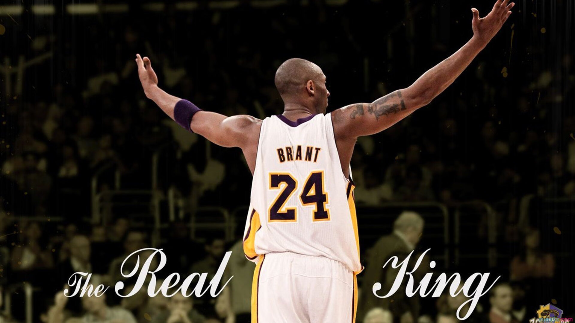 Team Liquid换帅：新教练上任，t1 新教练